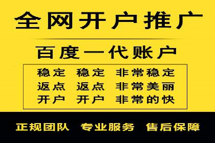 落地页在SEM优化中的重要性及成功案例